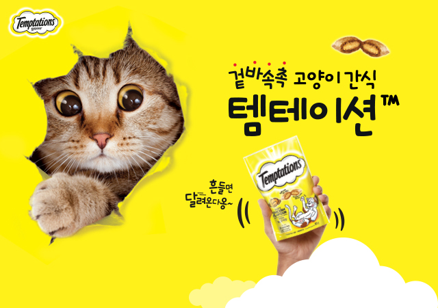 템테이션 #쉐킷챌린지